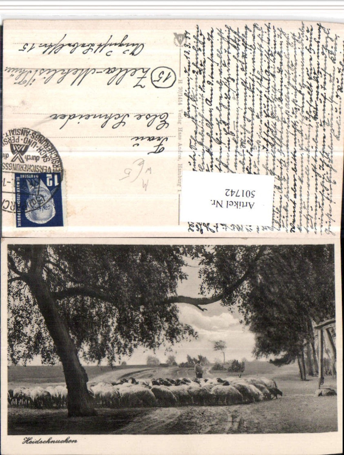 501742,Lüneburger Heide b. Bispingen Heidschnucken Hirte Schäfer Schafe