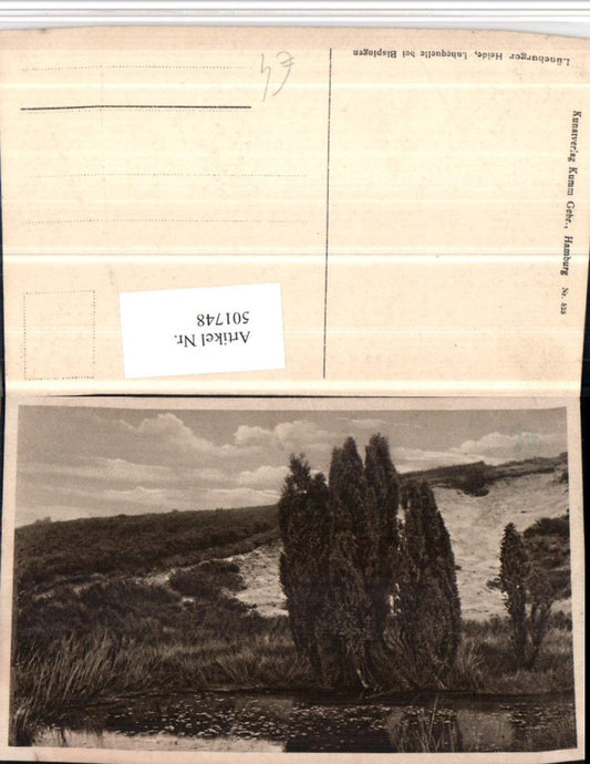 501748,Lüneburger Heide Luhequelle b. Bispingen Landschaft