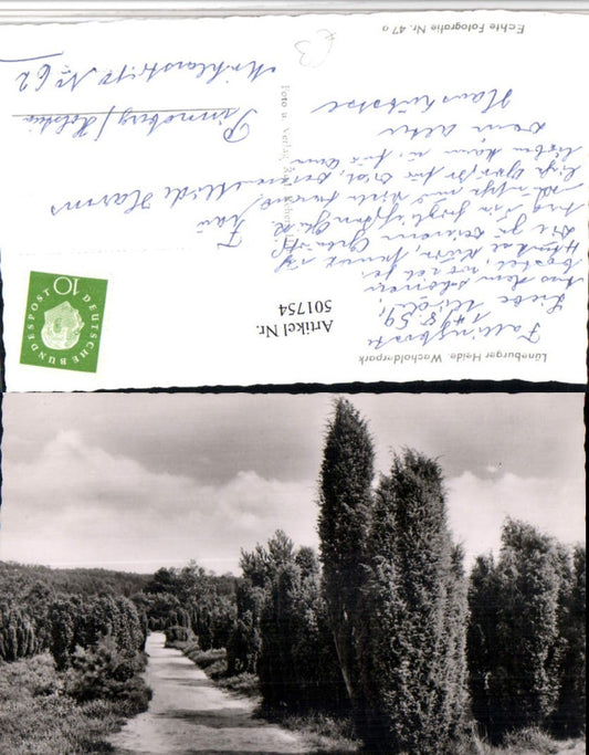 501754,Lüneburger Heide b. Fallingbostel Wacholderpark