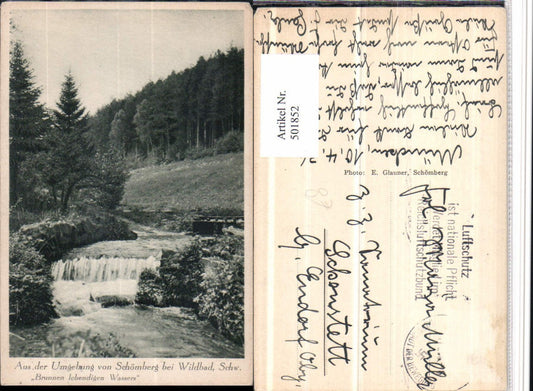 501852,Surroundings of Schömberg near Wildbad, river, forest