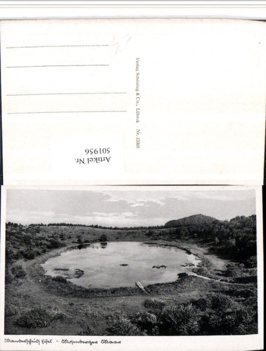 501956,Manderscheid in d. Eifel Mosenberger Maar Landschaft