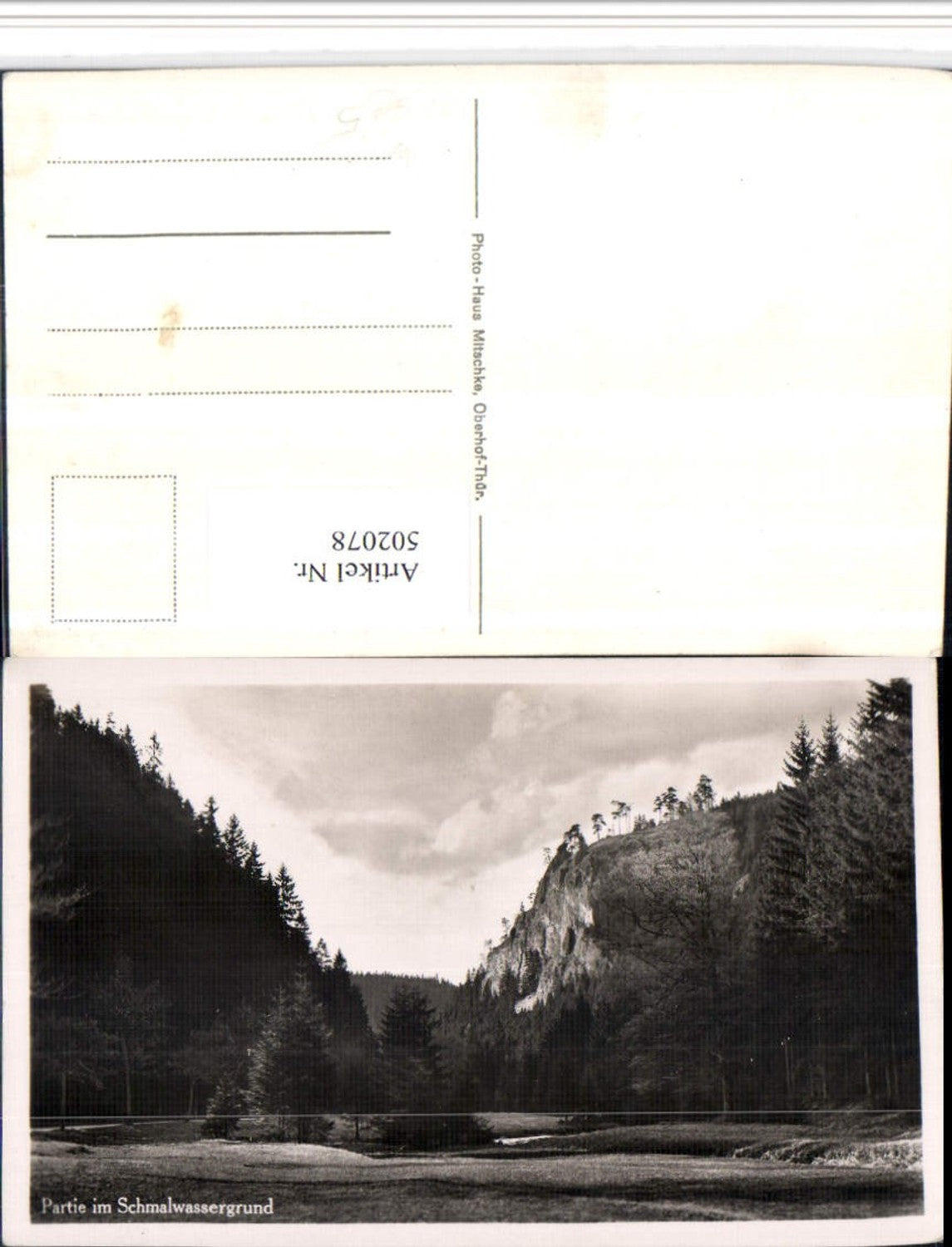 502078,Oberhof Partie im Schmalwassergrund Landschaft
