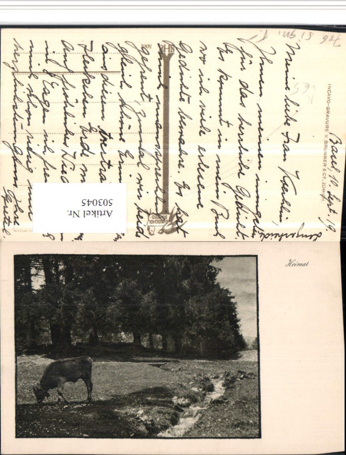 503045,Fotokunst D. Mischol Schiers 5001 Landschaft Kuh pub Brunner & Co