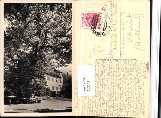 503341,Millstatt am See 1000 jährige Linde Großer Baum