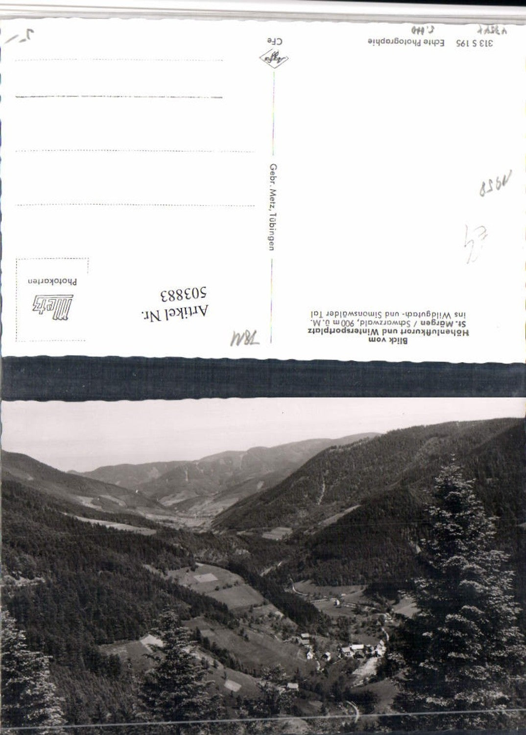 503883,Blick von St. Märgen im Schwarzwald ins Wildgutach-Tal
