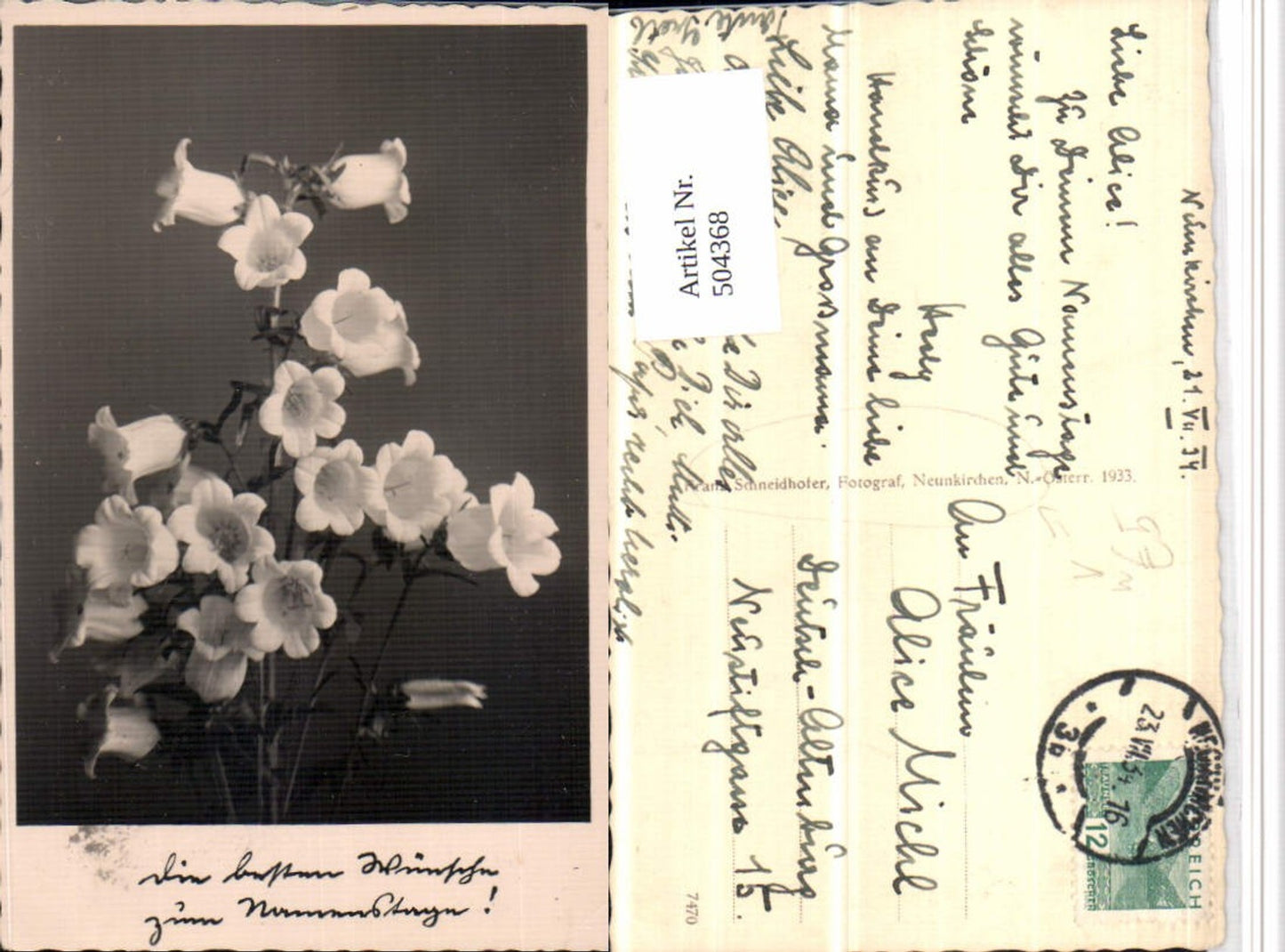 504368,Fotokunst Franz Schneidhofer Neunkirchen Glockenblume