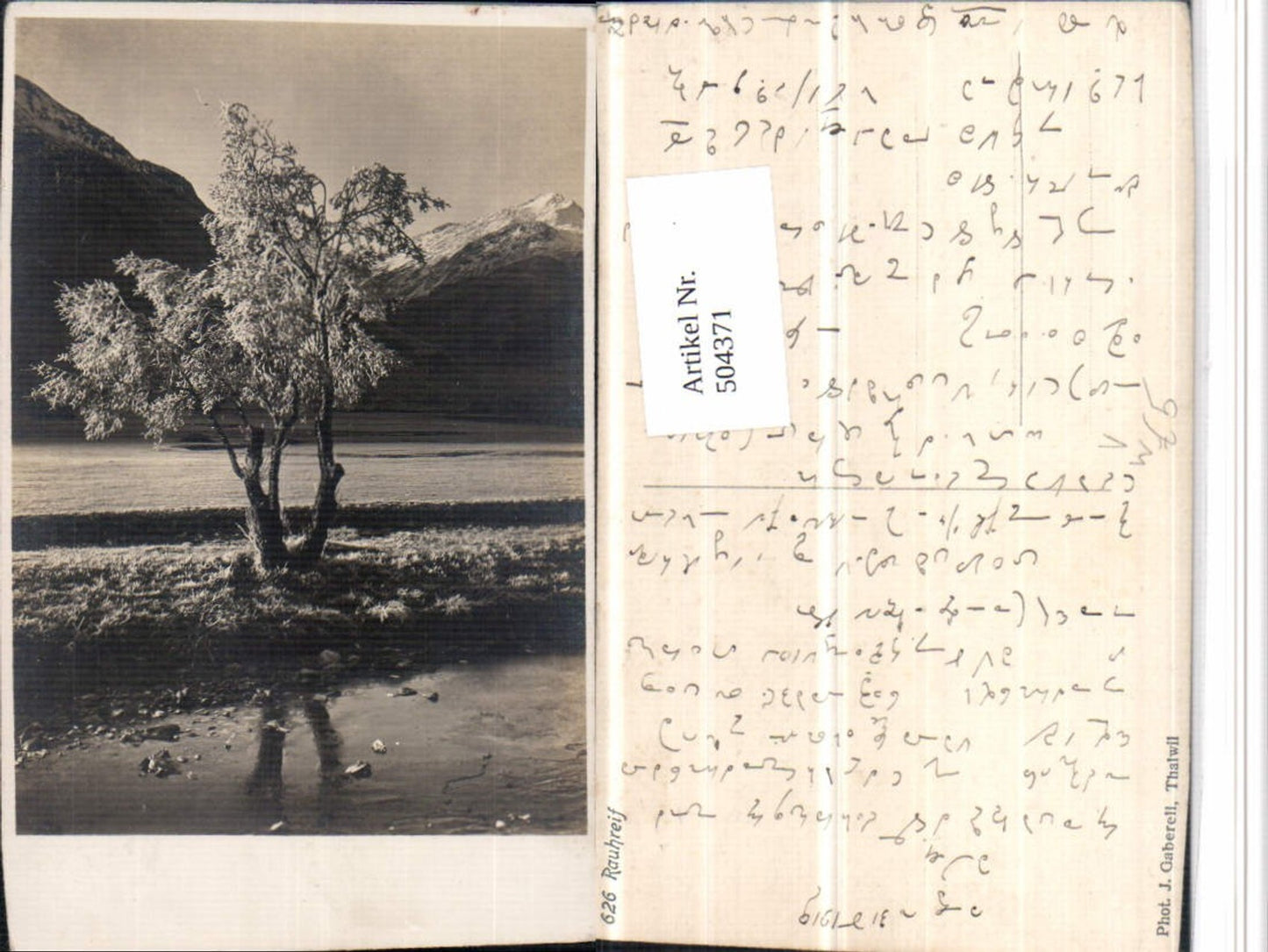 504371,Fotokunst J. Gaberell Thalwil Rauhreif Landschaft Bergkulisse