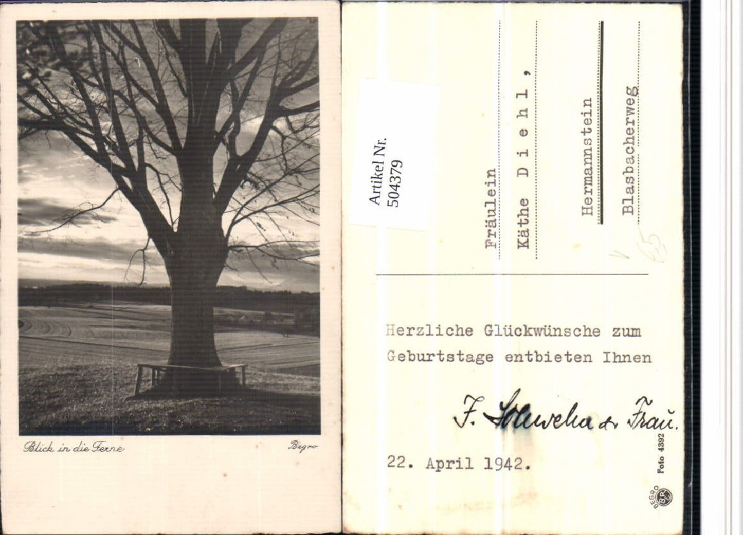 504379,Fotokunst Begro 4392 Blick in die Ferne Landschaft Baum