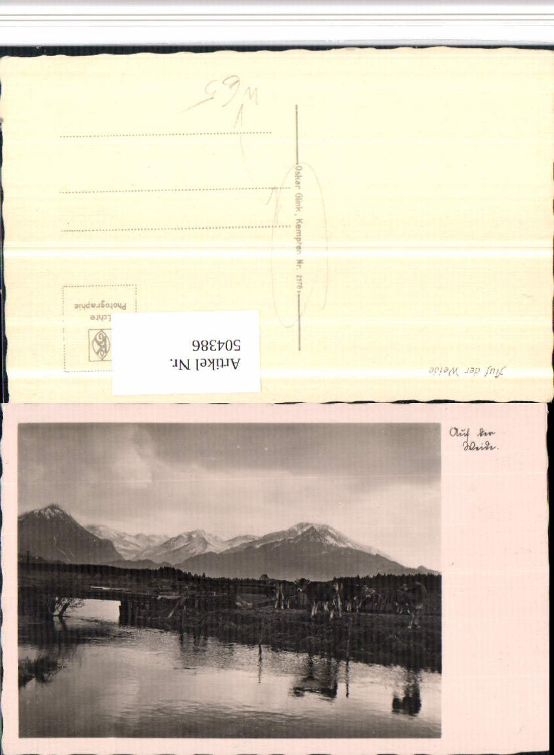 504386,Fotokunst Oskar Glink Kempten 2176 Auf der Weide Rinder Bergkulisse