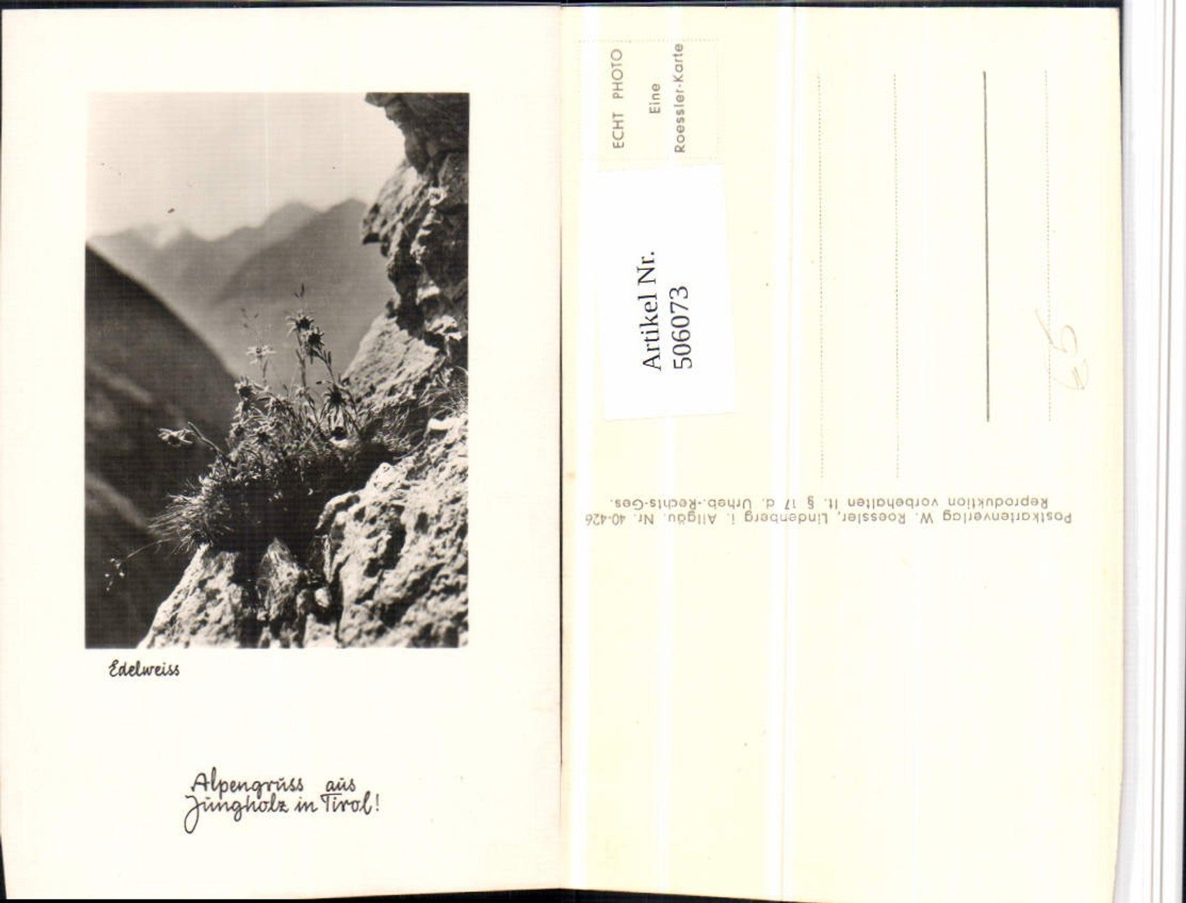 Alte Ansichtskarte – Old Postcard