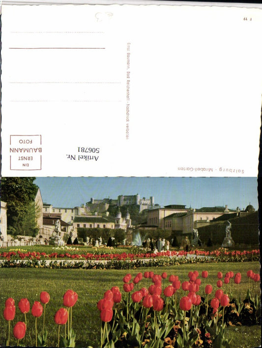 506781,Salzburg Mirabell-Garten Tulpen m. Blick zur Festung
