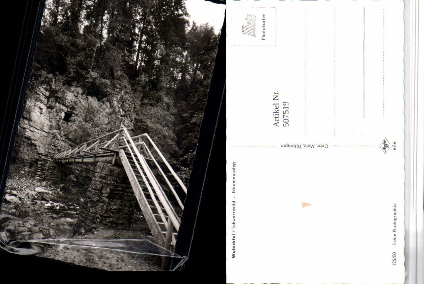 507519,Wutachtal im Schwarzwald b. Wutach Naumannsteg Brücke