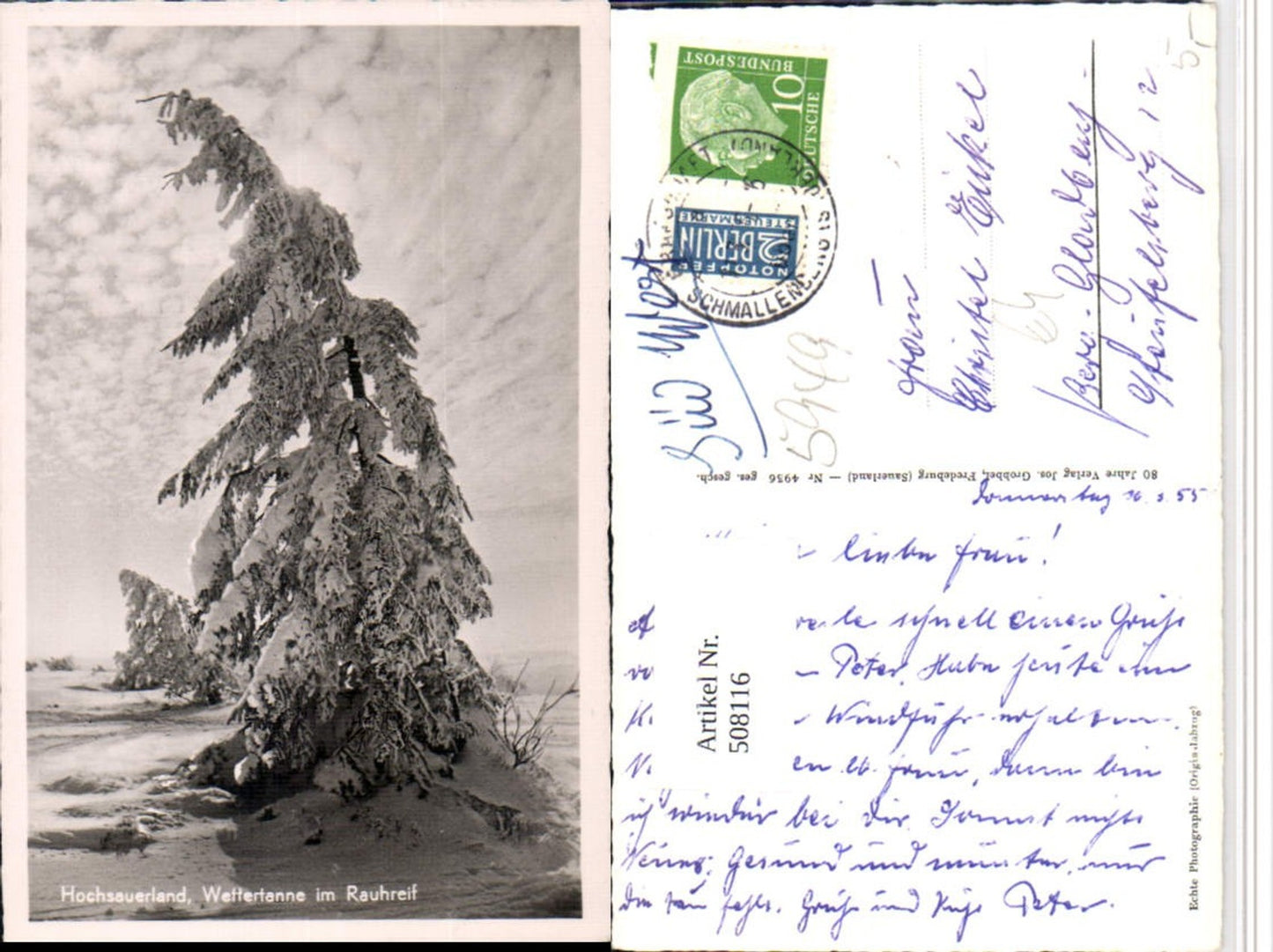 508116,Hochsauerland Wettertanne im Rauhreif b. Schmallenberg Winterbild