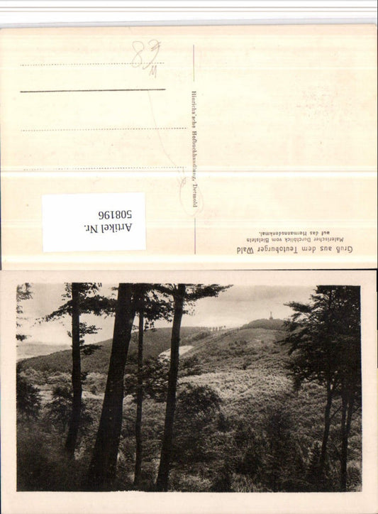 508196,Teutoburger Wald Durchblick vom Bielstein auf Hermanns-Denkmal b. Detmold