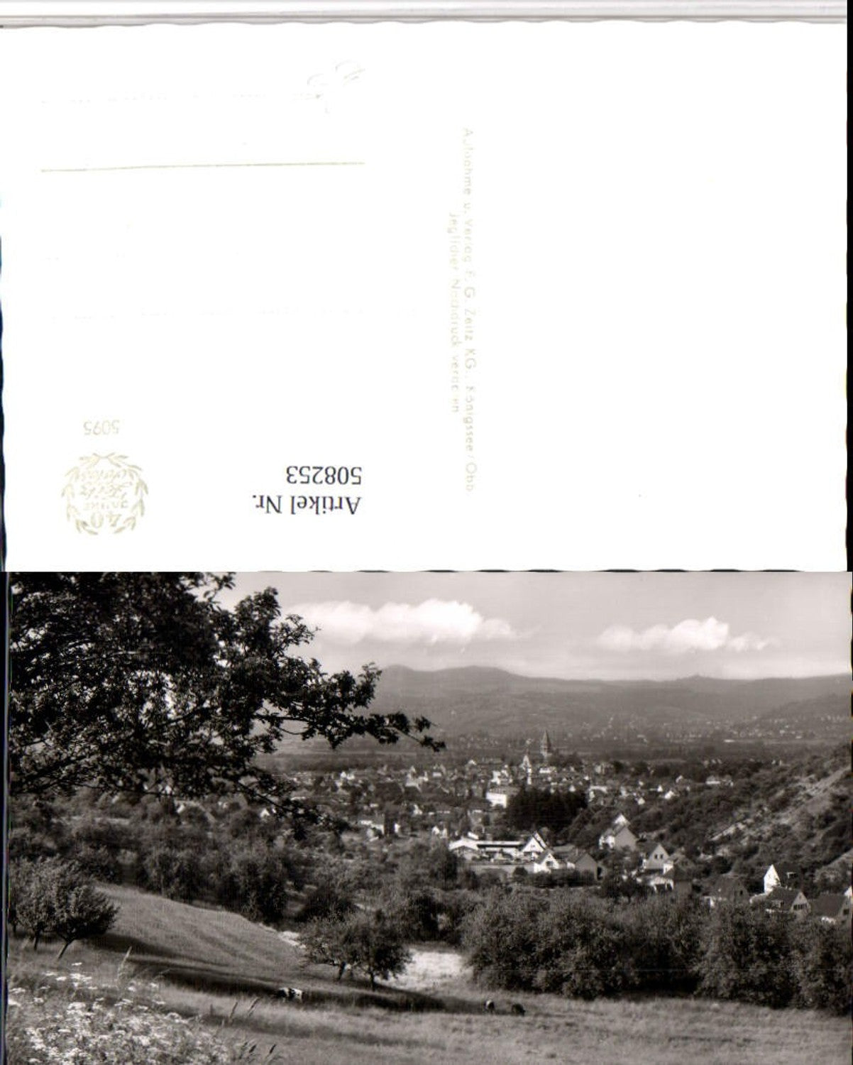 508253,Sinzig am Rhein Totale