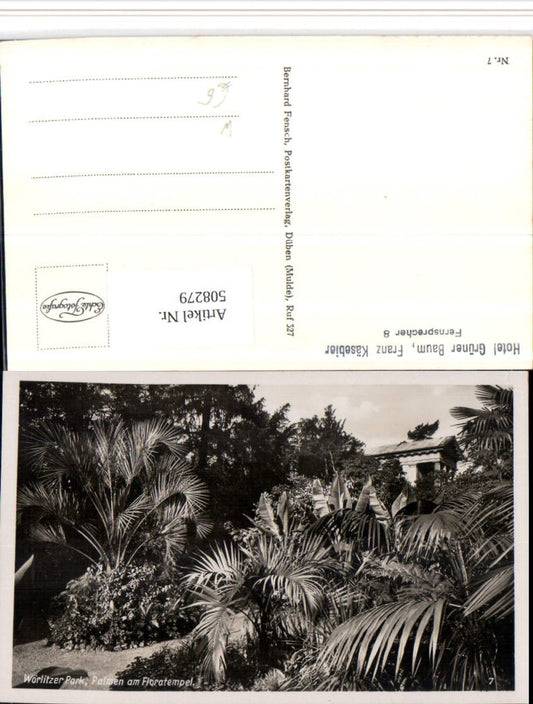 508279,Wörlitzer Park b. Wörlitz Palmen am Floratempel
