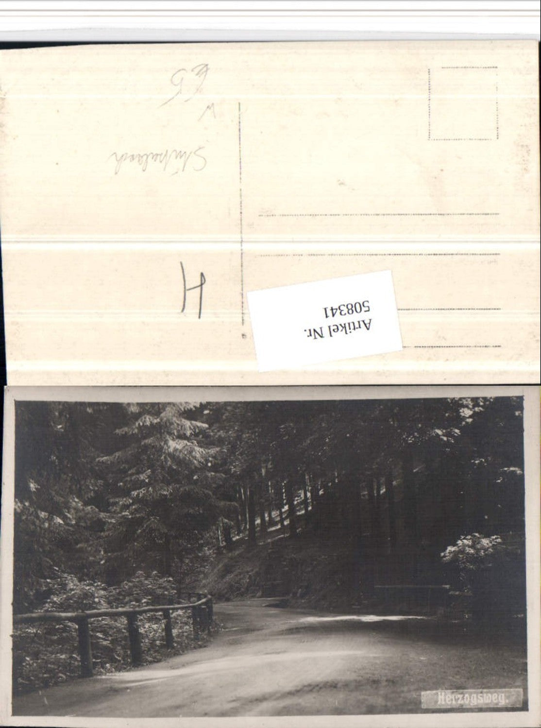 508341, Photo AK Herzogsweg near Stützerbach, section of the path