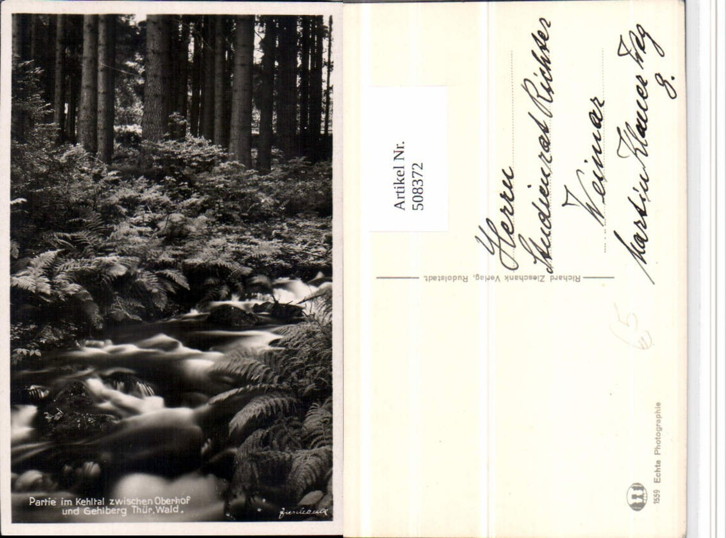 508372, section in the Kehltal near Oberhof and Gehlberg, mountain stream, forest