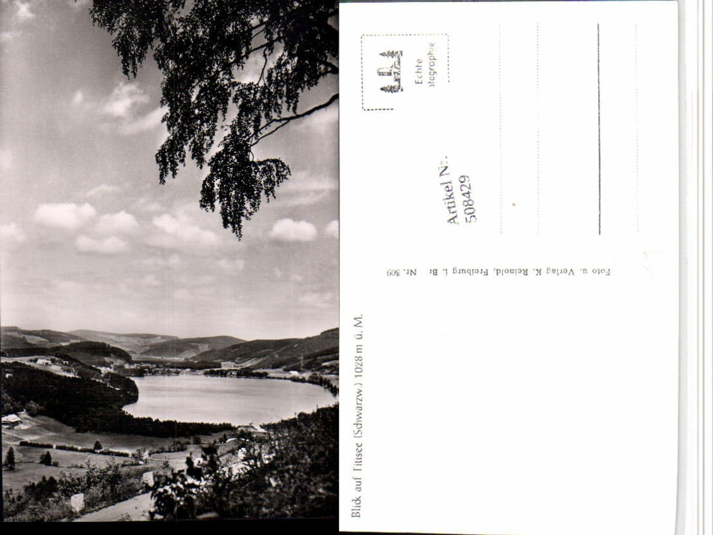 508429,Blick auf Titisee im Schwarzwald