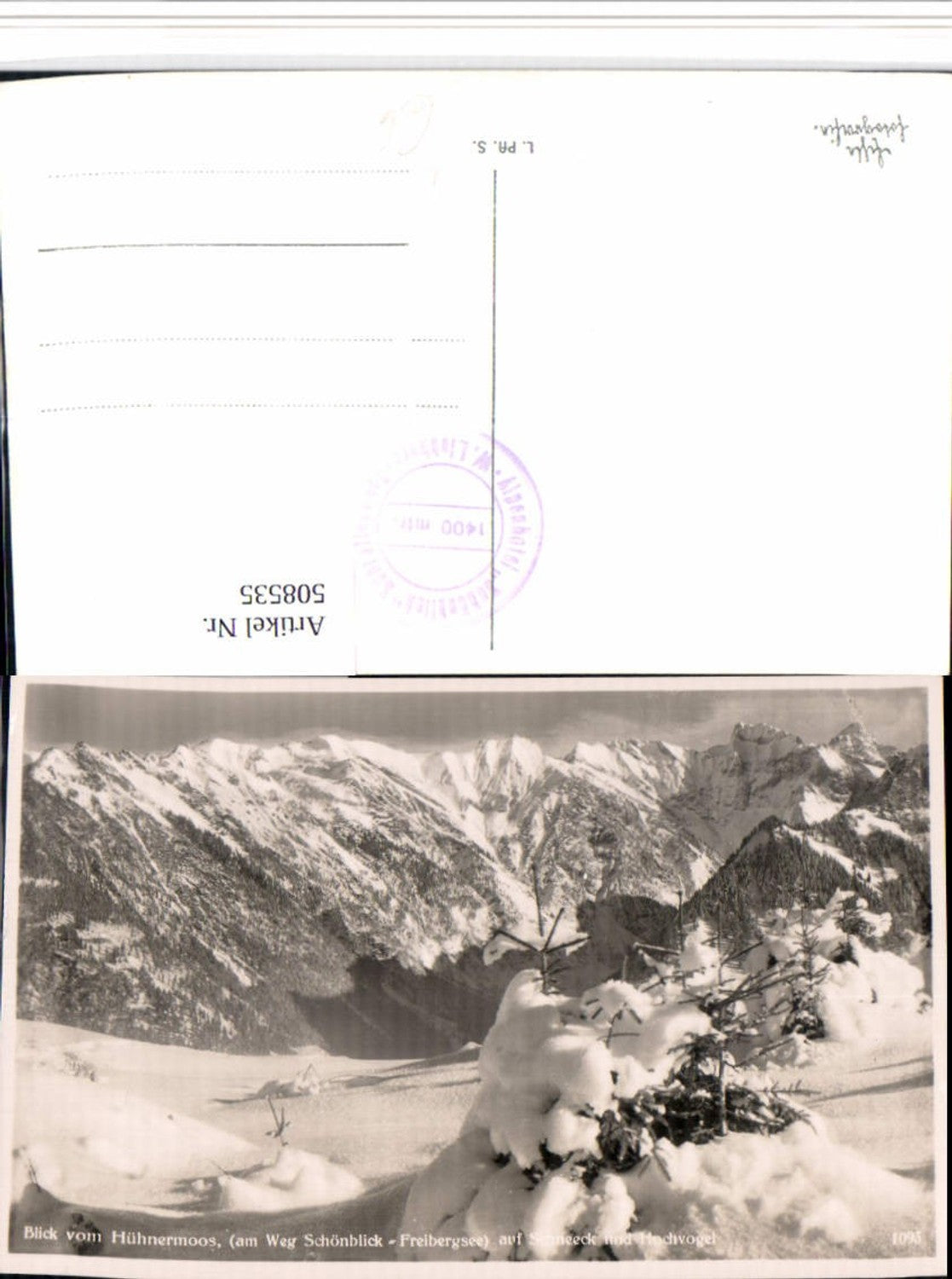508535,Blick vom Hühnermoos b. Oberstdorf auf Schneeck Bergkulisse Winterbild