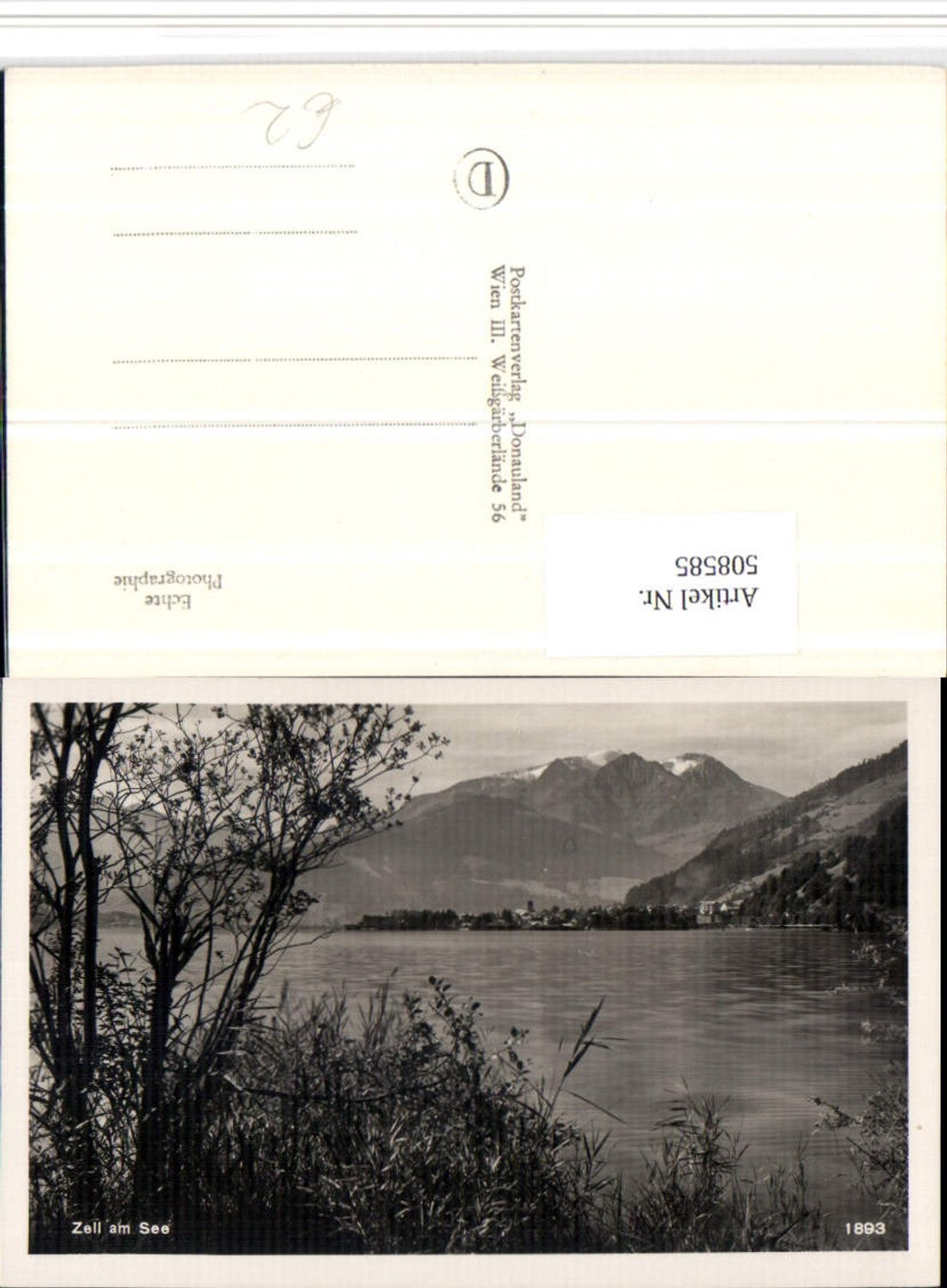 508585,Zell am See Teilansicht Bergkulisse