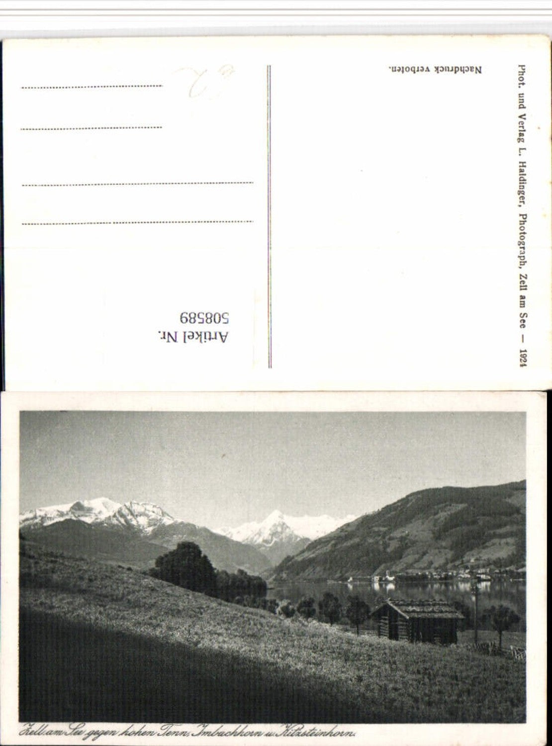 508589,Zell am See Teilansicht geg. Hohen Tenn Bergkulisse