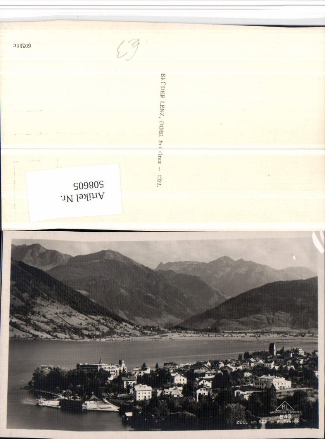 508605,Zell am See Totale m. Hohen Tauern Bergkulisse