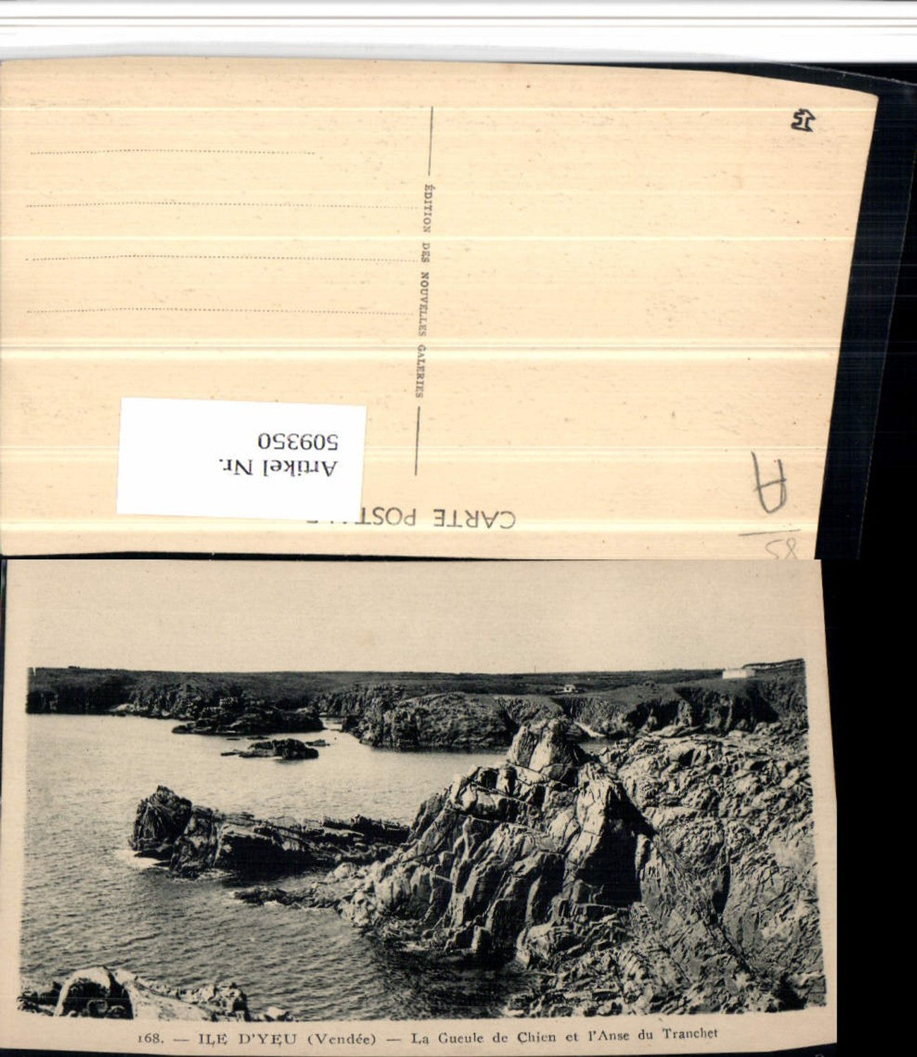 509350,Pays de la Loire Vendee Ile d'Yeu Gueule de Chien et Anse Tranchet Küste
