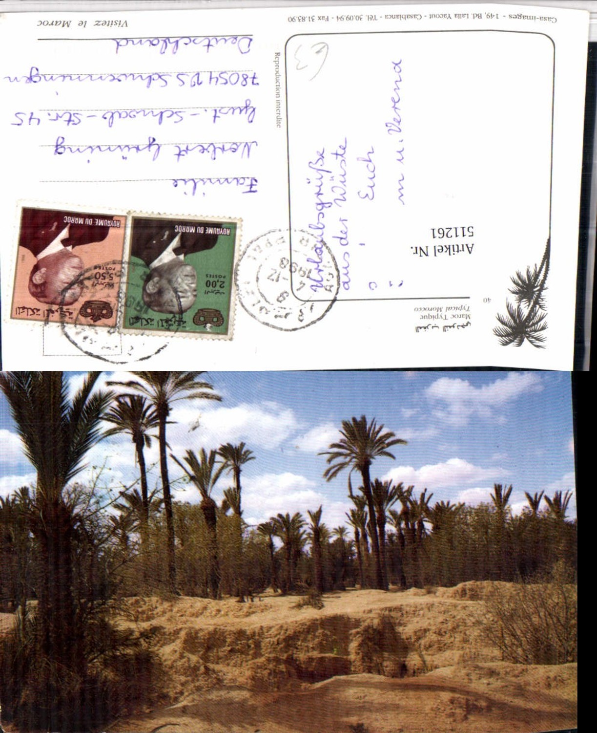 511261,Morocco Typical Landschaft Palmen