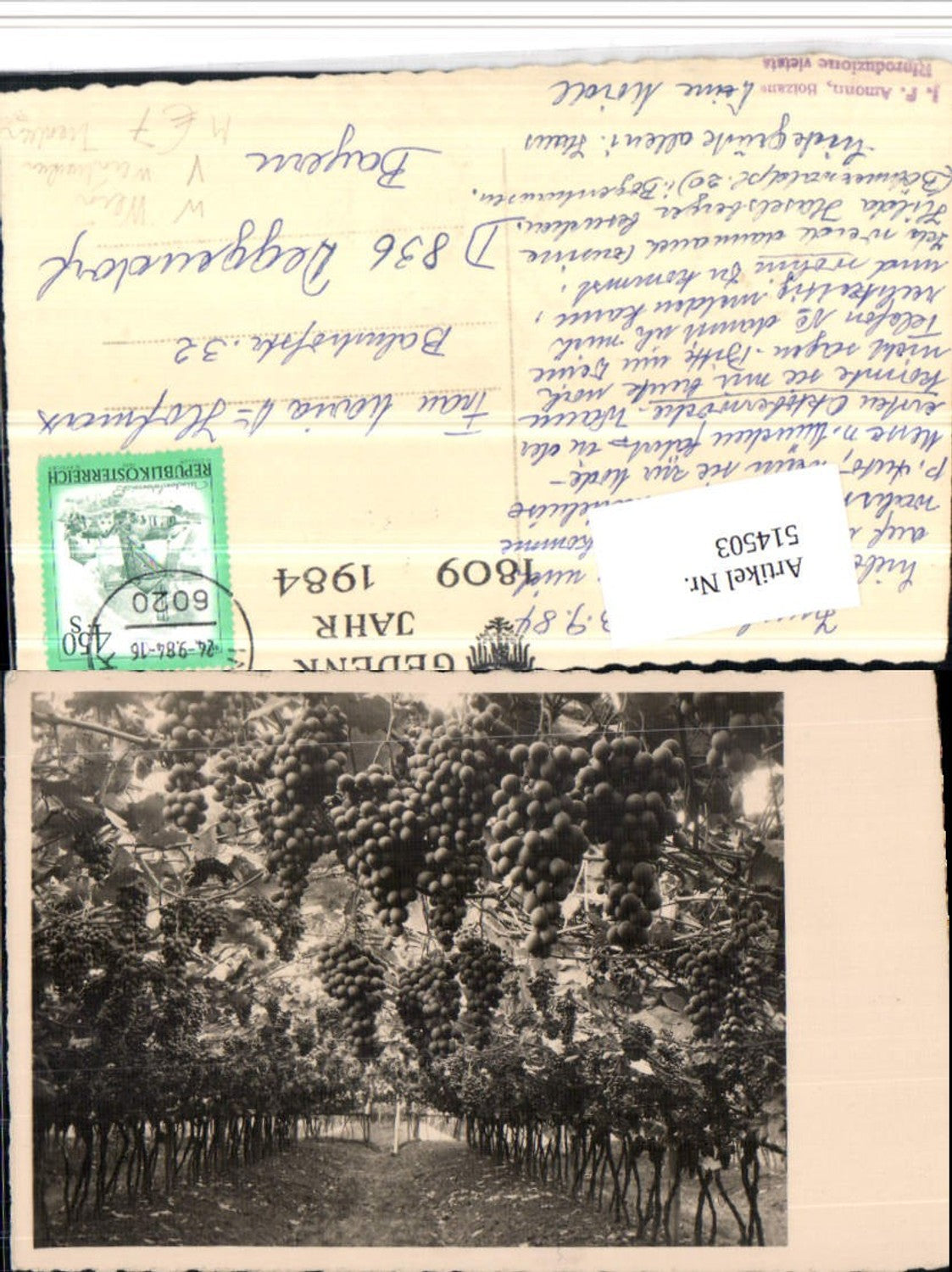 Alte Ansichtskarte – Old Postcard