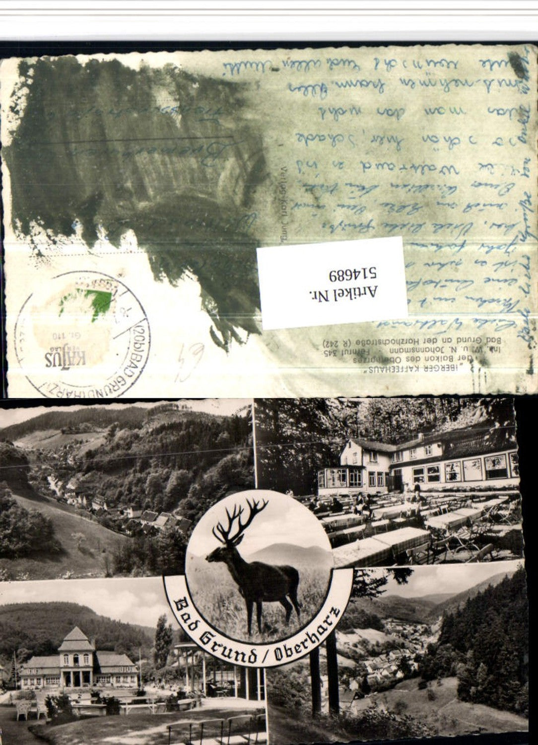 514689,Bad Grund im Oberharz Totale Hirsch Mehrbildkarte