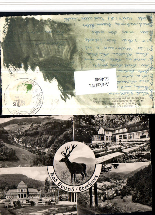 514689,Bad Grund im Oberharz Totale Hirsch Mehrbildkarte