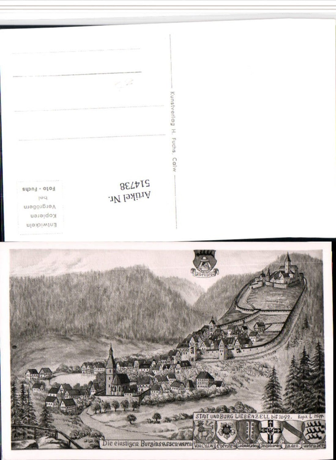 514738,Künstler AK L. Hipp Stadt u. Burg Liebenzell Totale