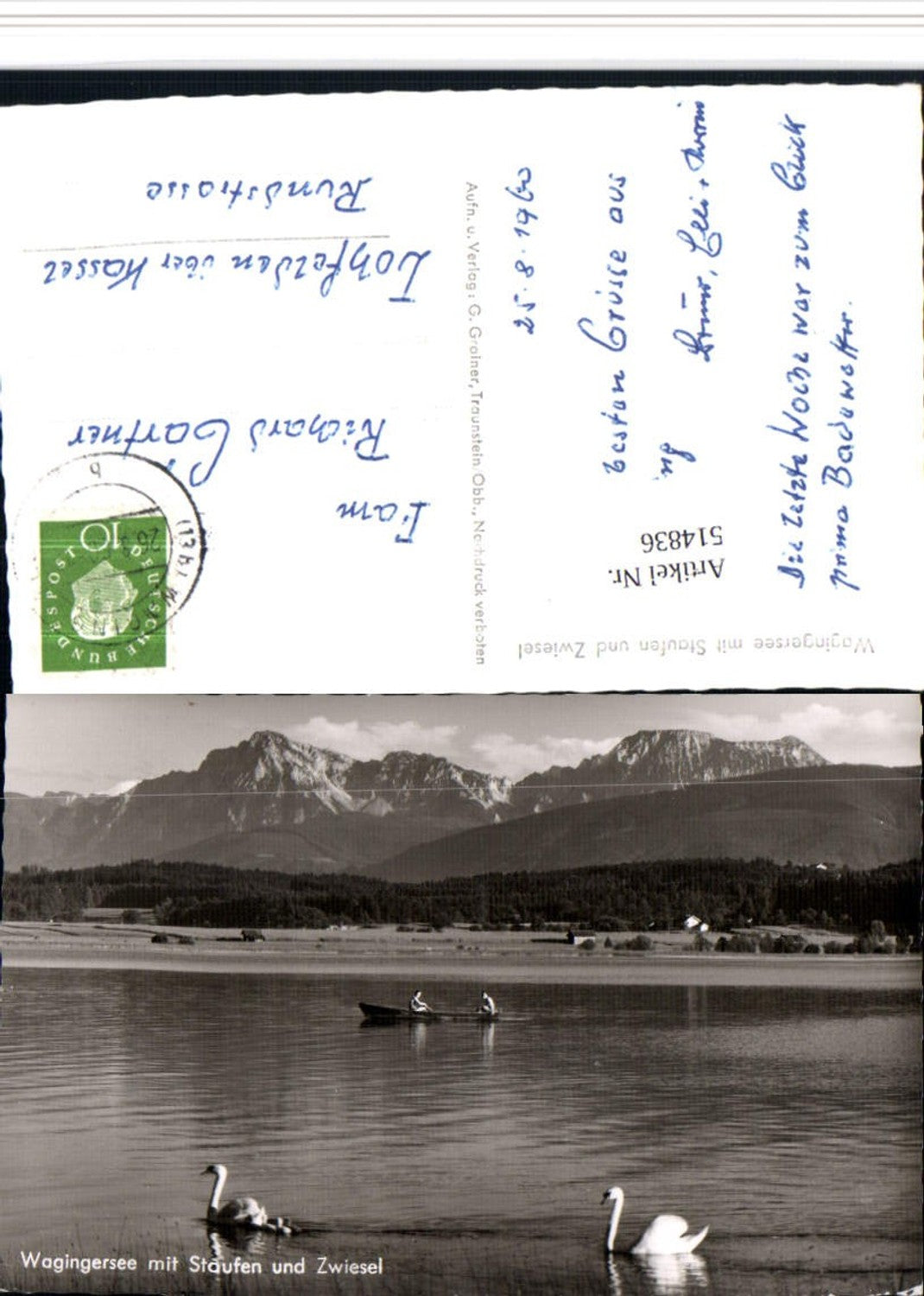 514836,Wagingersee See b. Waging m. Staufen Schwäne Bergkulisse