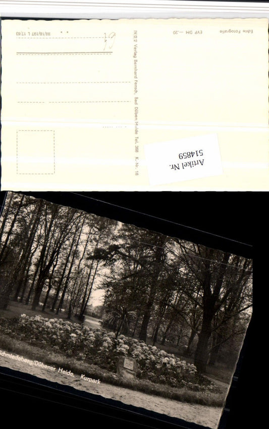 514859,Bad Schmiedeberg Dübener Heide Kurpark