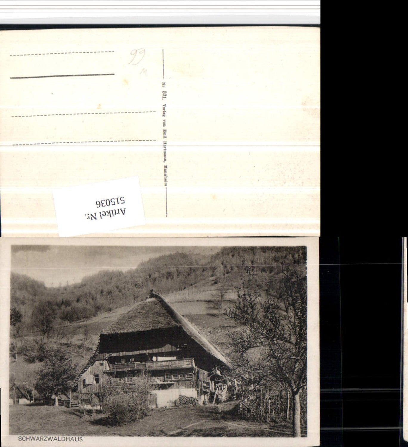 515036,Black Forest House b. Todtnau