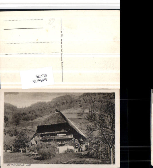 515036,Black Forest House b. Todtnau