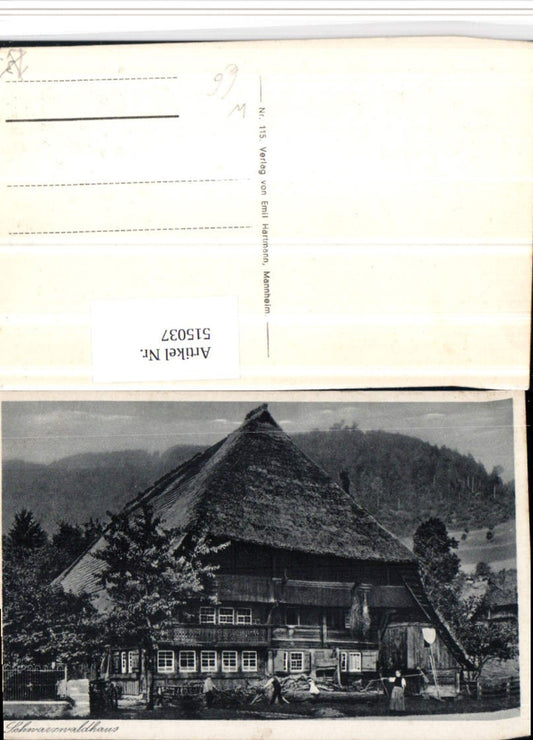 515037,Black Forest House b. Todtnau