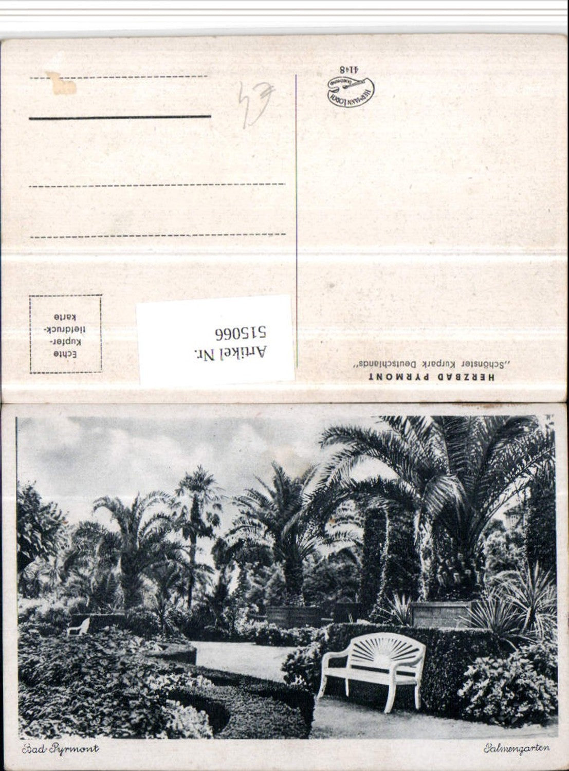 515066,Bad Pyrmont Palmengarten Palmen