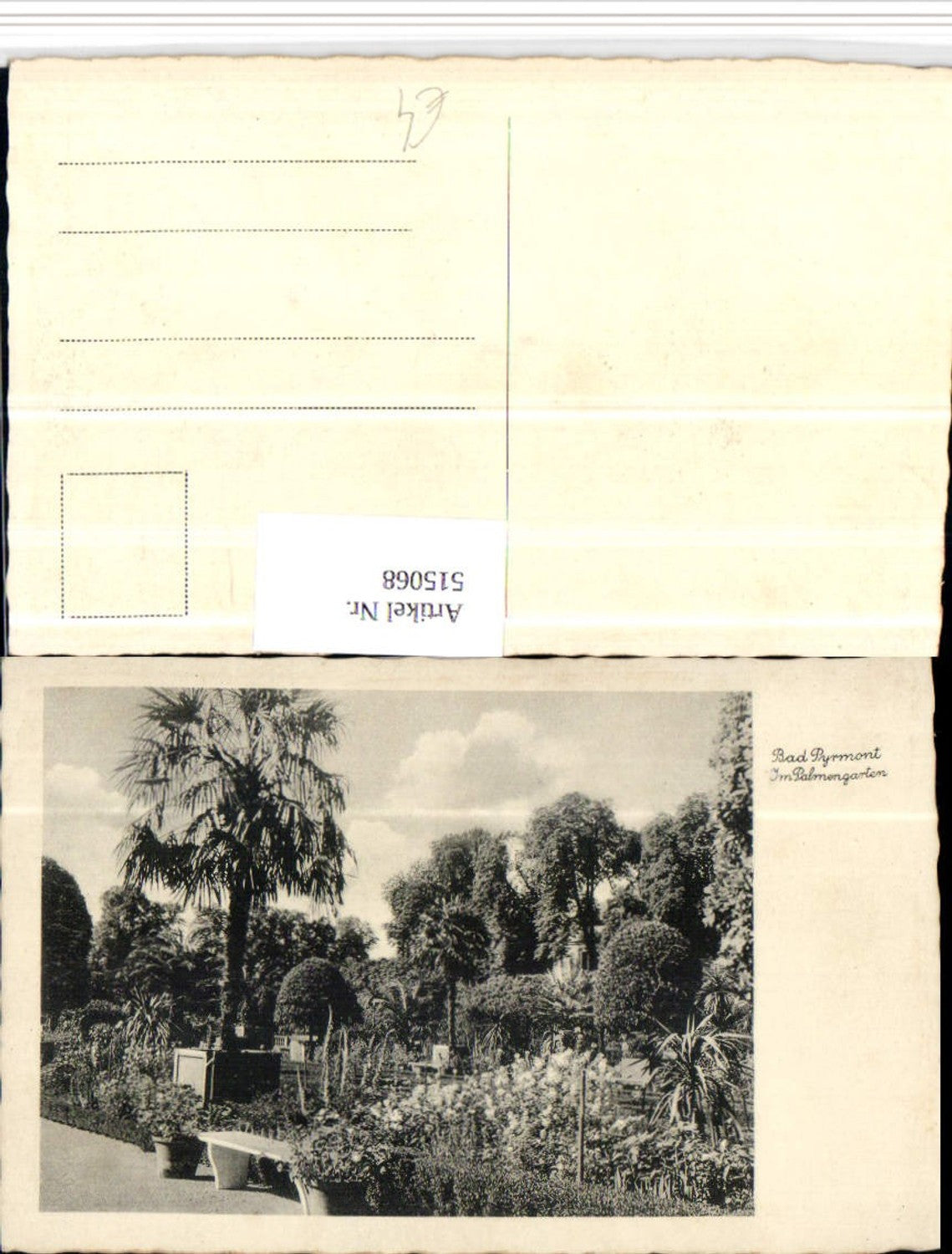 515068,Bad Pyrmont Palmengarten Palme