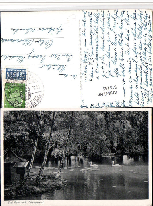 515155,Bad Nenndorf Erlengrund Teich Schwäne