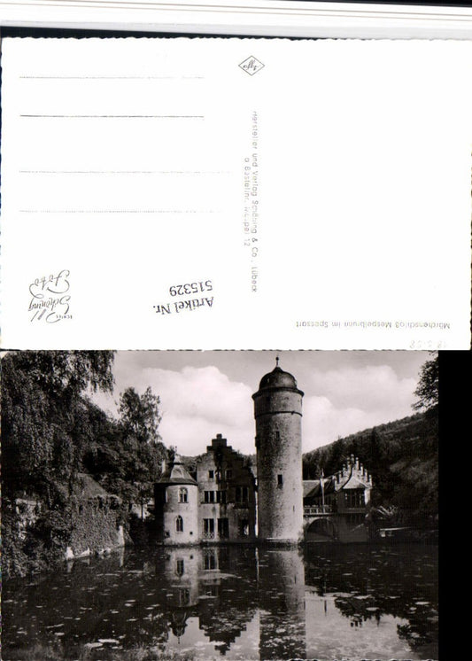 515329,Mespelbrunn im Spessart Märchenschloss Schloss Turm