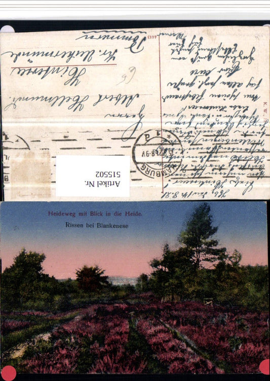 515502,Lüneburger Heide Heideweg m. Blick in die Heide b. Bispingen