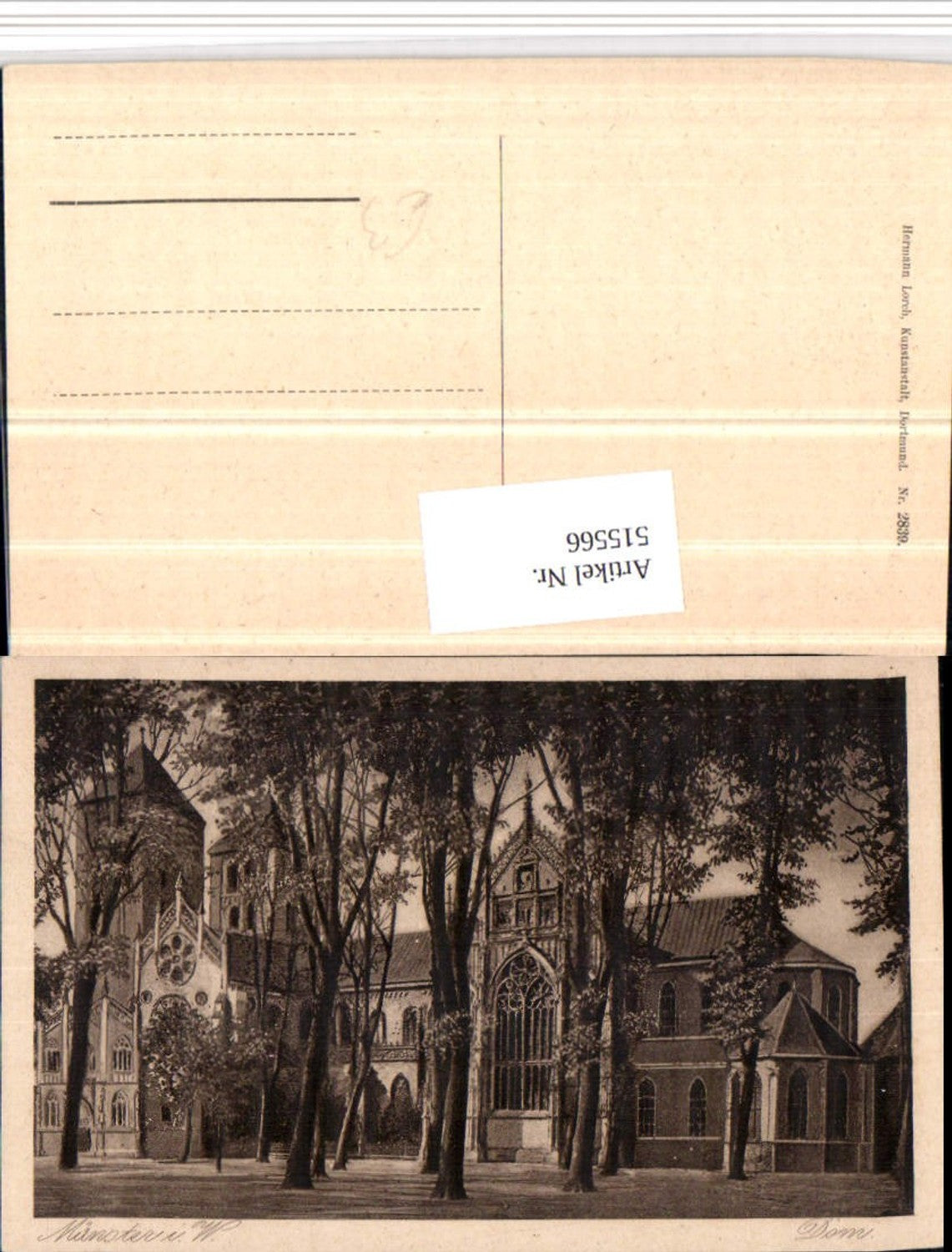 515566,Münster in Westfalen Dom Kirche