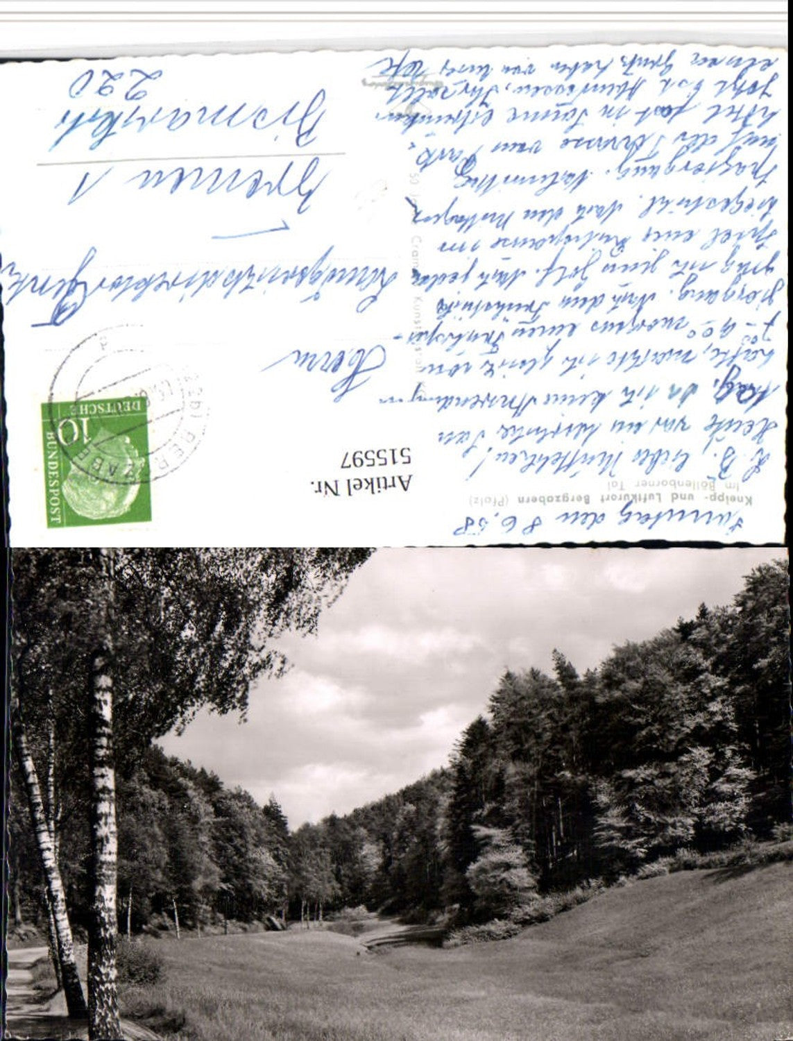 515597,Bergzabern in d. Pfalz Böllenborner Tal Landschaft Wald