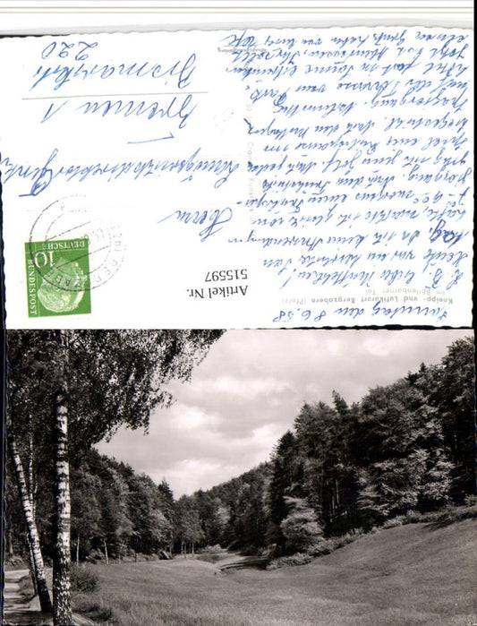 515597,Bergzabern in d. Pfalz Böllenborner Tal Landschaft Wald