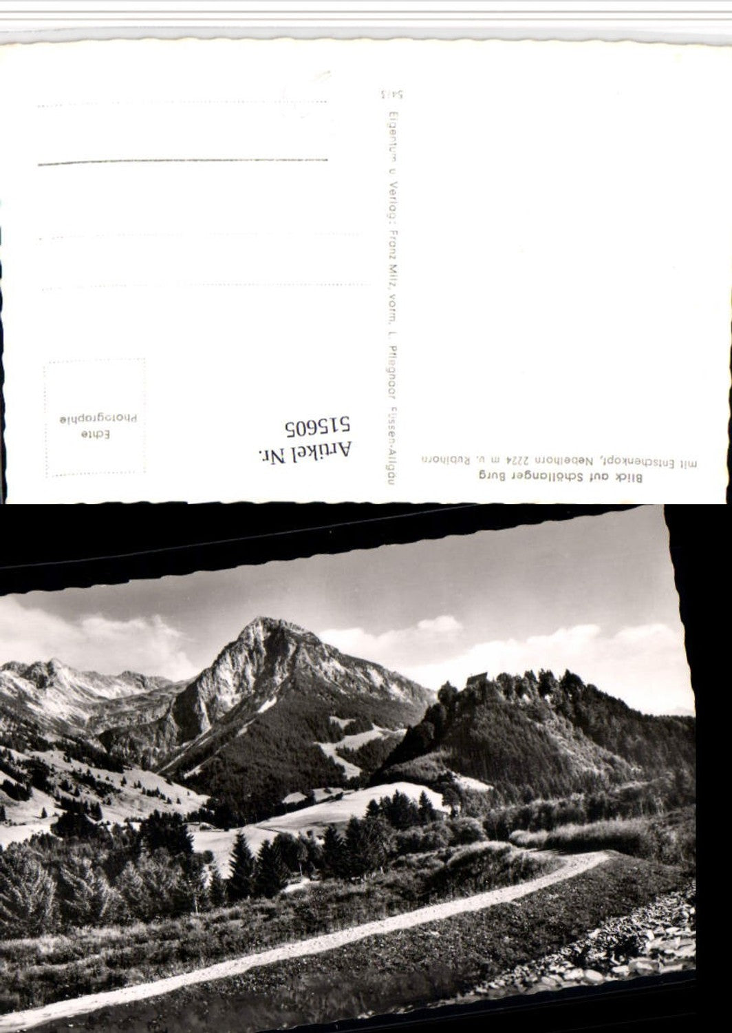 515605,Blick auf Schöllanger Burg b. Oberstdorf Bergkulisse