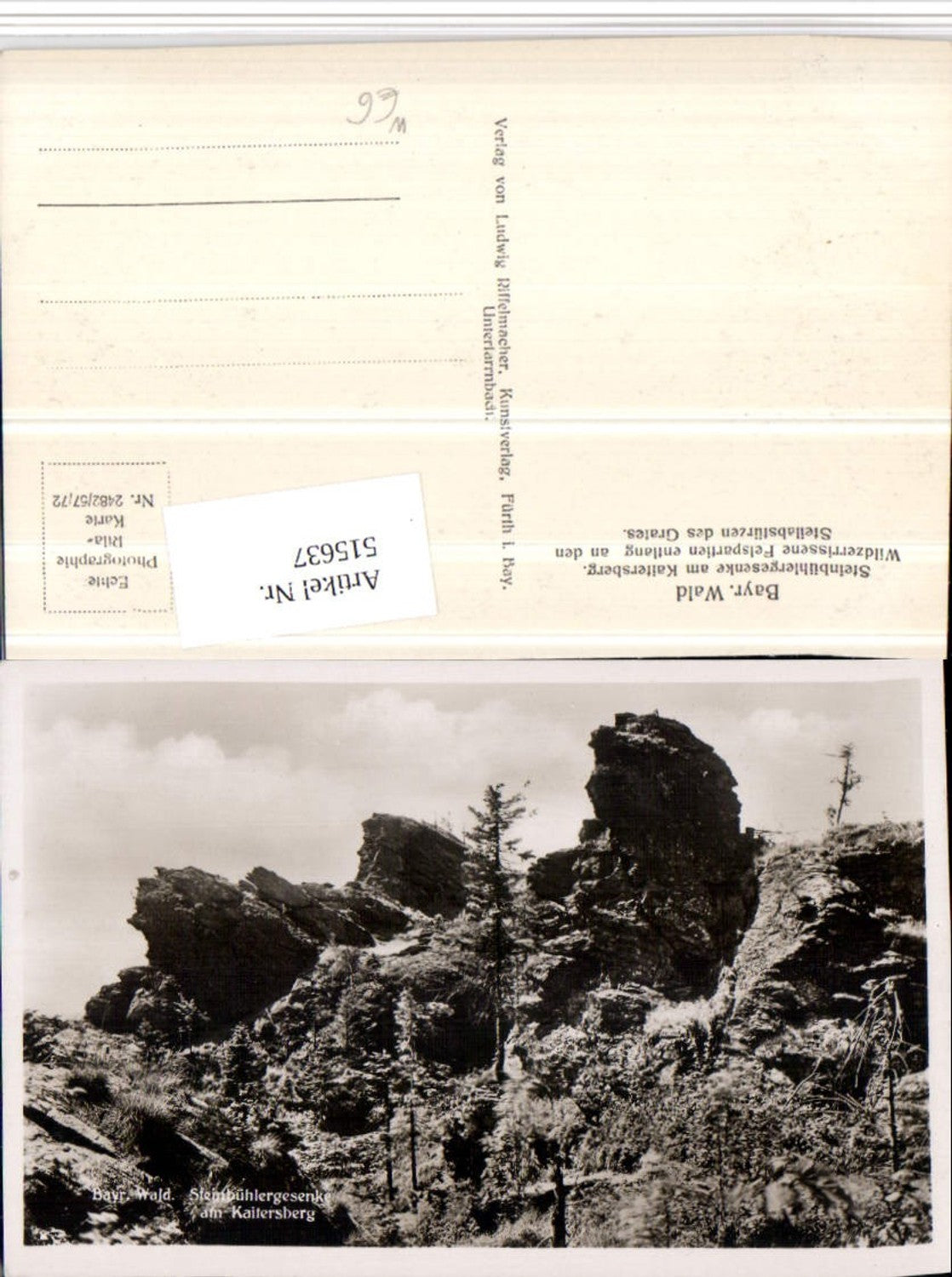 515637,Bayerischer Wald Steinbühlergesenke am Kaitersberg b. Bad Kötzting