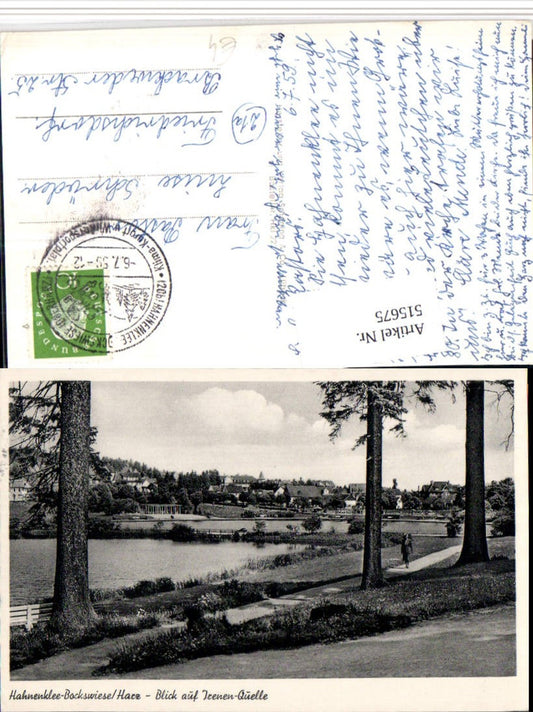 515675,Hahnenklee-Bockswiese im Harz Blick auf Irenen-Quelle