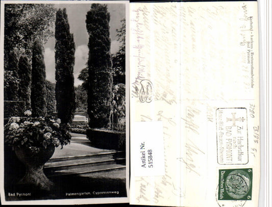 515848,Bad Pyrmont Palmengarten Cypressenweg Zypressen